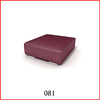 81